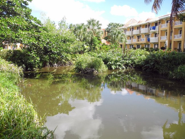 Kleine Seen - Hotel Viva Wyndham Dominicus Palace - Bayahibe Kleine Seen