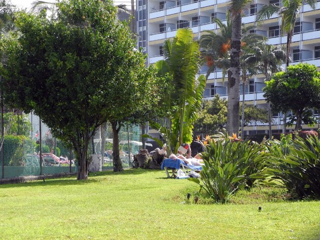 Kleine Grünfläche - Hotel Best Semiramis - Puerto de la Cruz Kleine Grünfläche