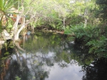 Cenote auf dem Hotelgelände