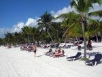 Viele Palmen am Strand