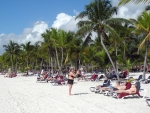 Palmenbereich am Strand